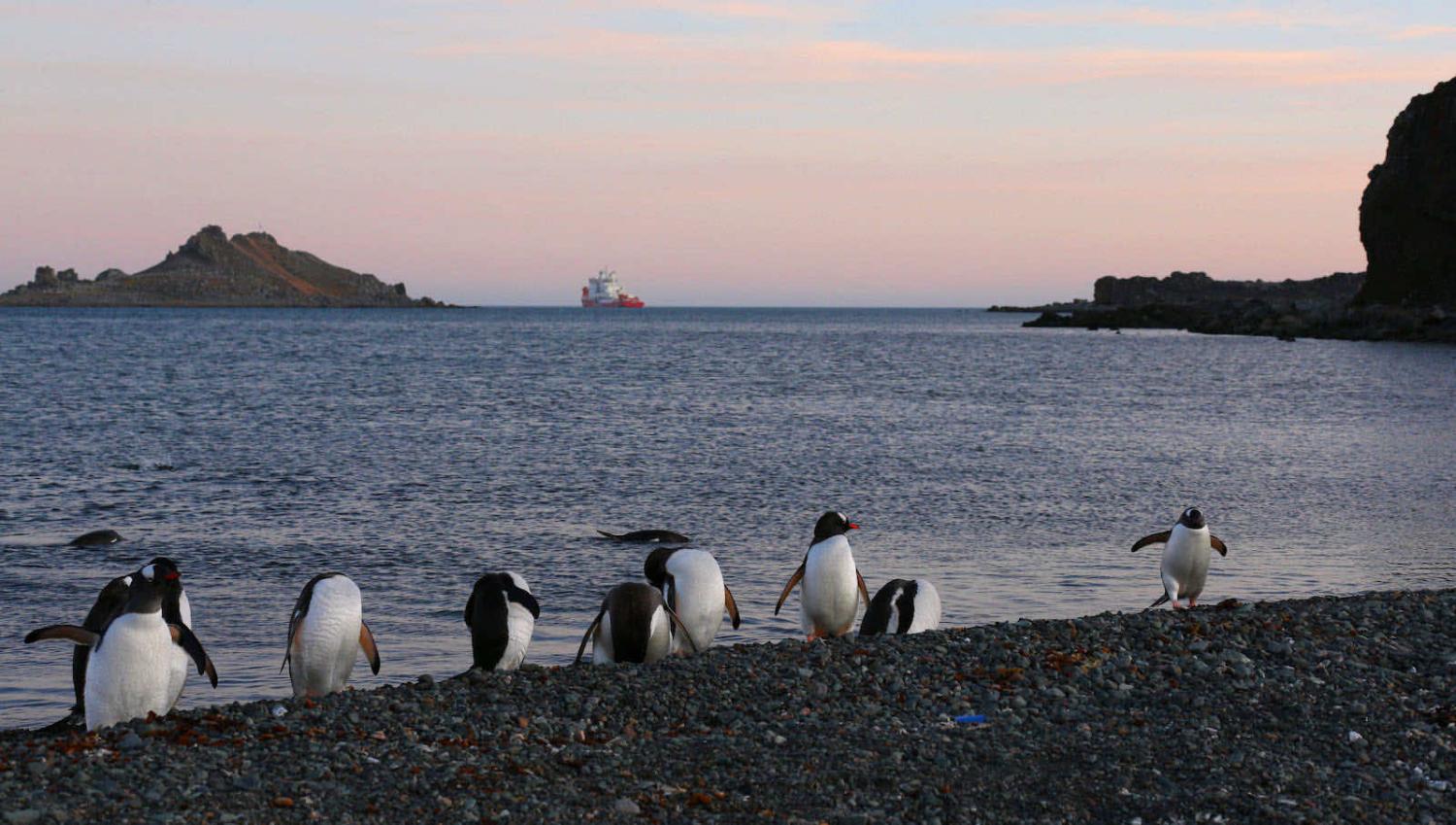 China’s polar icebreaker Xuelong 2 unloading supplies at the Great Wall station, Antarctica, February 2020 (Liu Shiping/Xinhua via Getty Images)